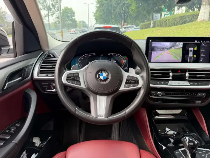 BMW X4 2022 Model xDrive 25i M Sports Set – фото 9