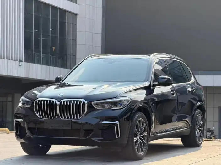 BMW X5 2022 Model xDrive 30Li Exclusive Model M Sports Set – фото 1