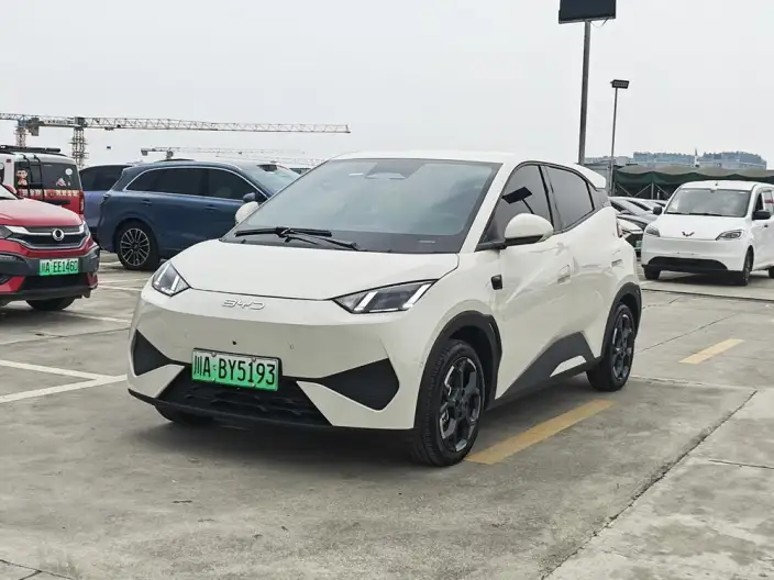BYD Seagull 2025 Model Smart Driving Edition 305KM Free Edition – фото 1