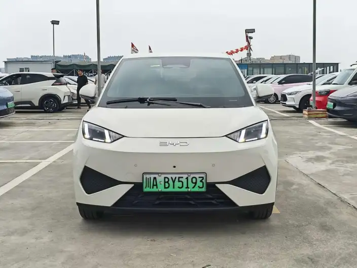 BYD Seagull 2025 Model Smart Driving Edition 305KM Free Edition – фото 2