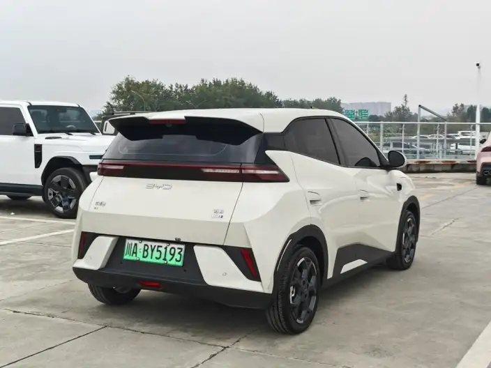 BYD Seagull 2025 Model Smart Driving Edition 305KM Free Edition – фото 6
