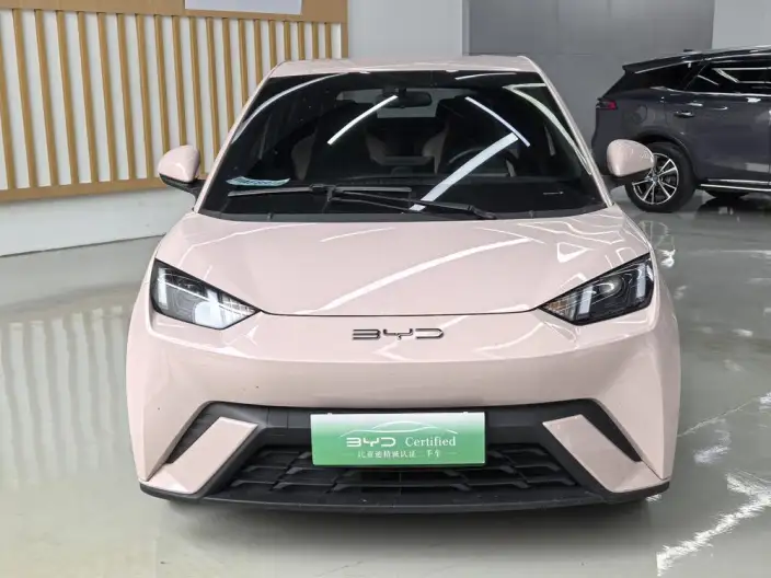BYD Seagull 2024 Model Honor Edition 305KM Vitality Edition – фото 2