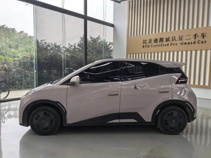 BYD Seagull 2024 Model Honor Edition 305KM Vitality Edition – фото 3