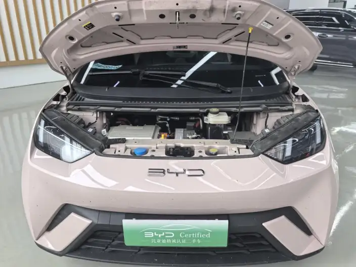 BYD Seagull 2024 Model Honor Edition 305KM Vitality Edition – фото 6