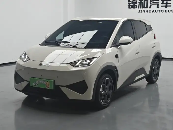 BYD Seagull 2025 Model Smart Driving Edition 305KM Free Edition – фото 1