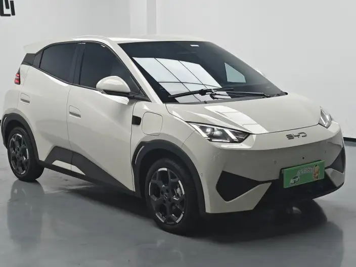 BYD Seagull 2025 Model Smart Driving Edition 305KM Free Edition – фото 3