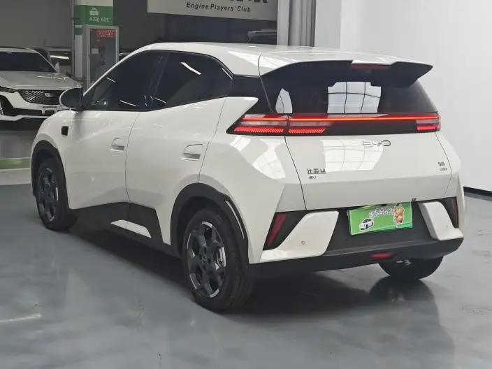 BYD Seagull 2025 Model Smart Driving Edition 305KM Free Edition – фото 5