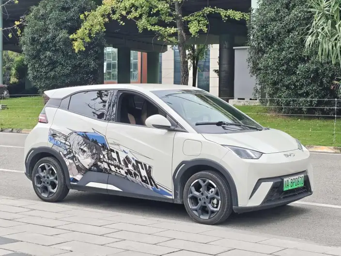 BYD Seagull 2024 Model Honor Edition 405KM Feixiang Edition – фото 1