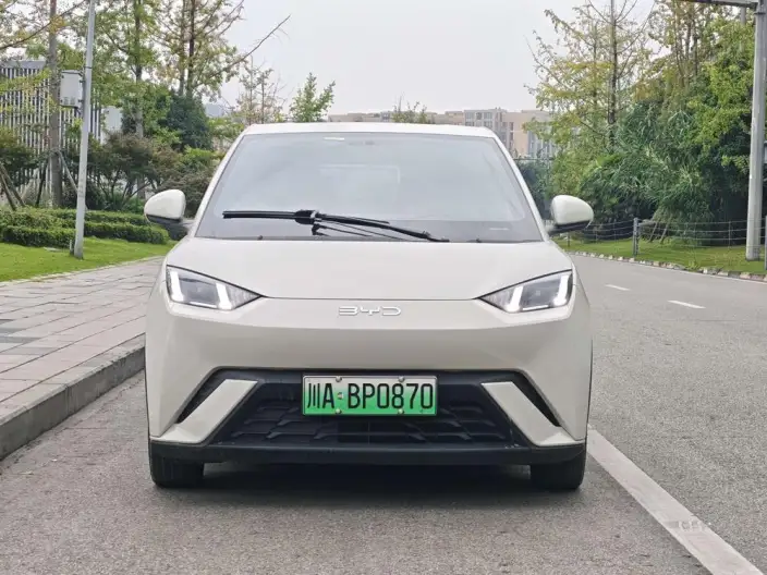 BYD Seagull 2024 Model Honor Edition 405KM Feixiang Edition – фото 2