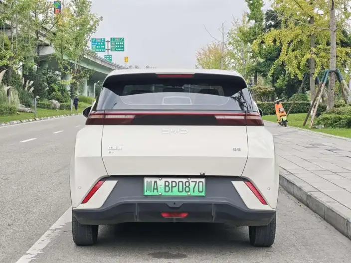 BYD Seagull 2024 Model Honor Edition 405KM Feixiang Edition – фото 5