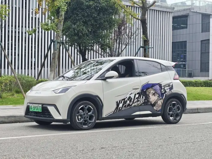 BYD Seagull 2024 Model Honor Edition 405KM Feixiang Edition – фото 8
