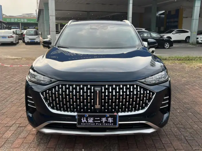 Mocha 2021 Model 2.0T 2WD Strong Edition – фото 2