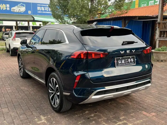 Mocha 2021 Model 2.0T 2WD Strong Edition – фото 4