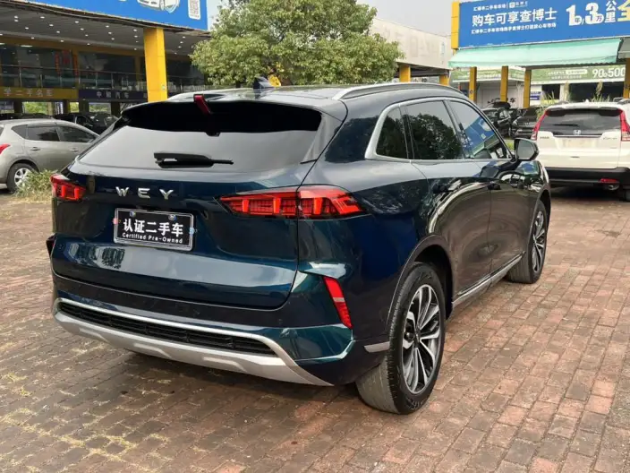 Mocha 2021 Model 2.0T 2WD Strong Edition – фото 6