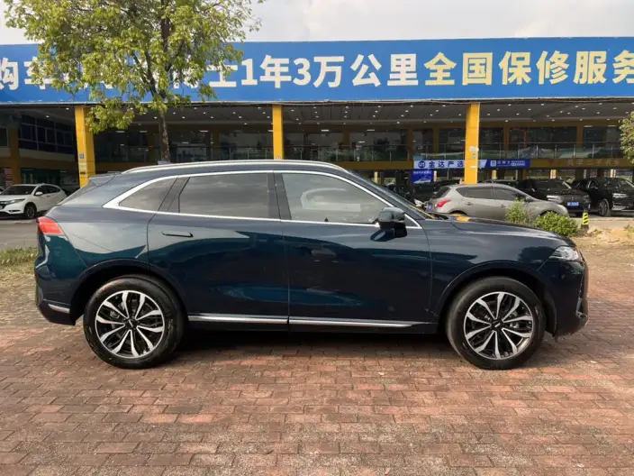 Mocha 2021 Model 2.0T 2WD Strong Edition – фото 7