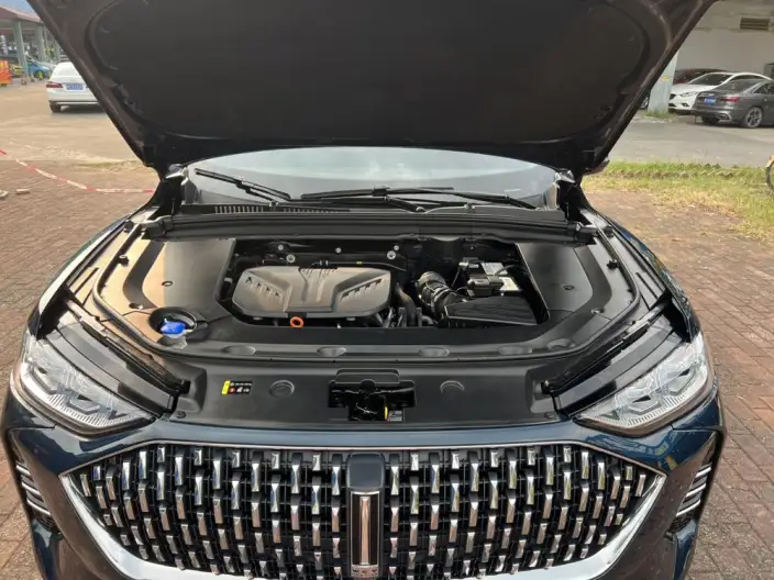 Mocha 2021 Model 2.0T 2WD Strong Edition – фото 9