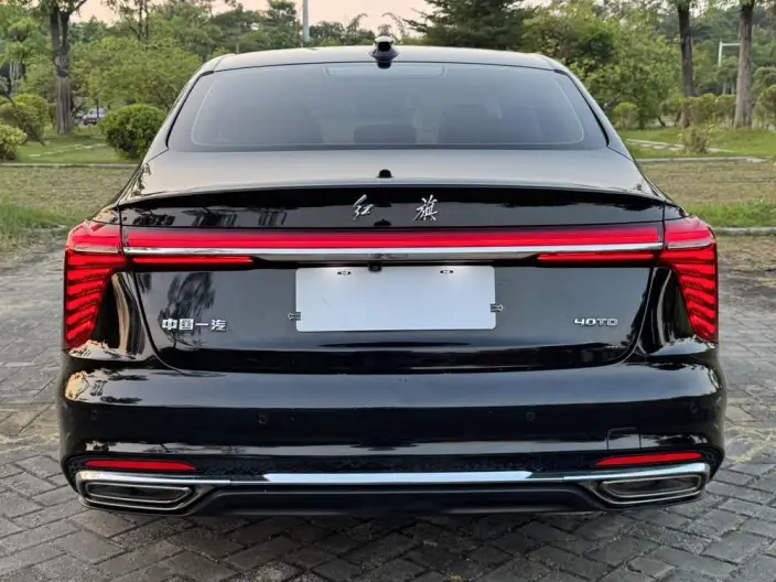 Hongqi H5 2024 Model 2.0T Automatic Smart Flag Enjoy Edition – фото 6