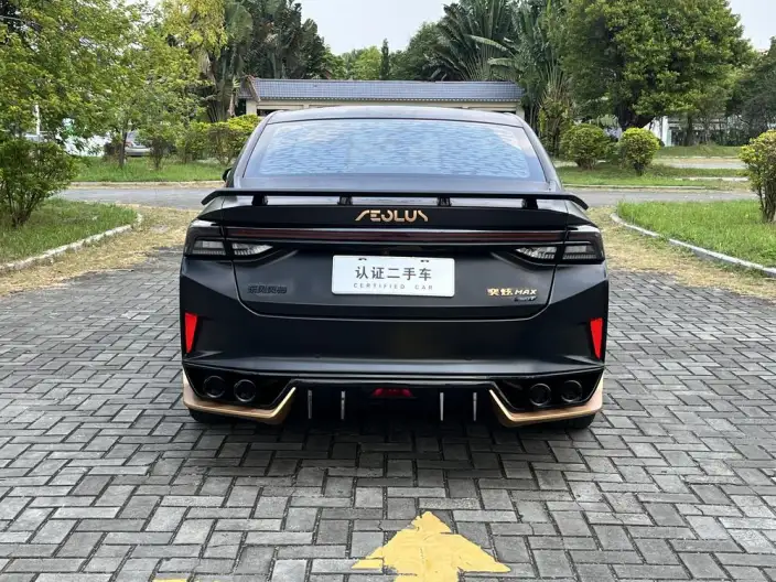 Yixuan Max 2021 Model 1.5T Dark Night Breaking Dawn Edition – фото 6
