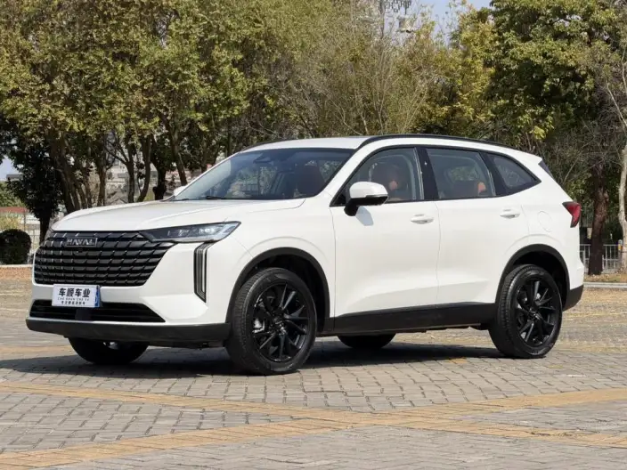 Haval H6 2024 Model 2.0T Automatic 4WD Max Edition