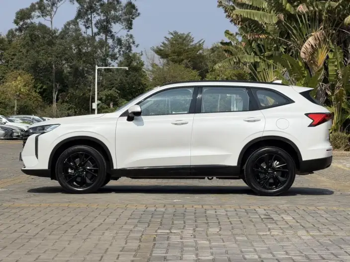 Haval H6 2024 Model 2.0T Automatic 4WD Max Edition