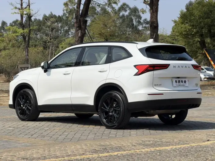 Haval H6 2024 Model 2.0T Automatic 4WD Max Edition – фото 5