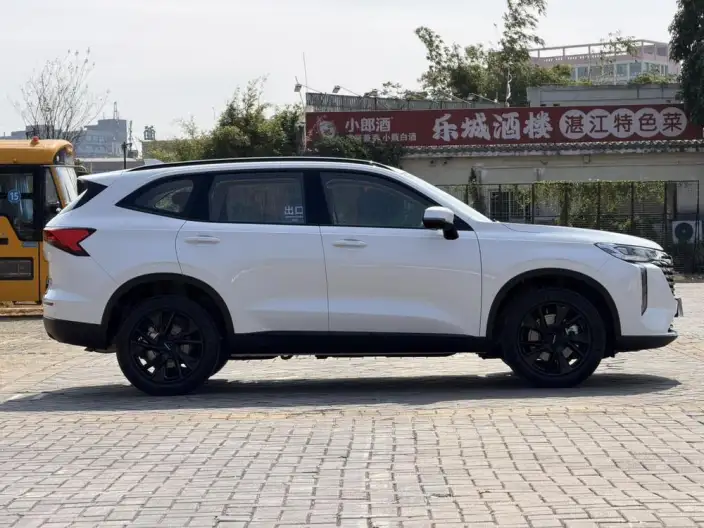 Haval H6 2024 Model 2.0T Automatic 4WD Max Edition – фото 8