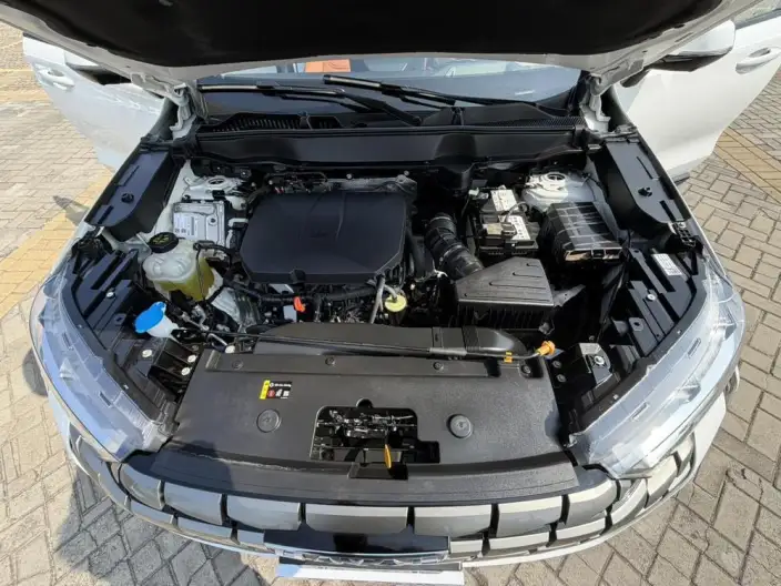 Haval H6 2024 Model 2.0T Automatic 4WD Max Edition – фото 10