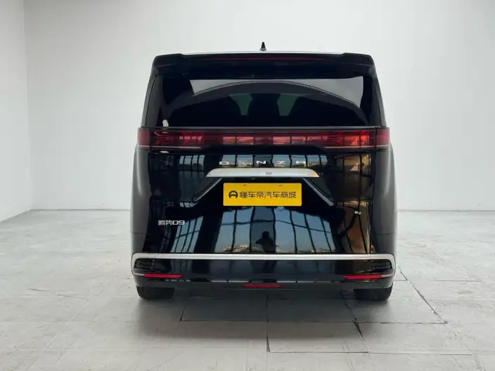 Denza D9 EV 2024 Model 620 2WD Exclusive Model – фото 6