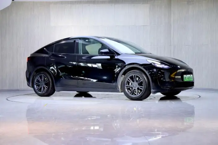Model Y 2022 Model Rear-wheel drive version – фото 3