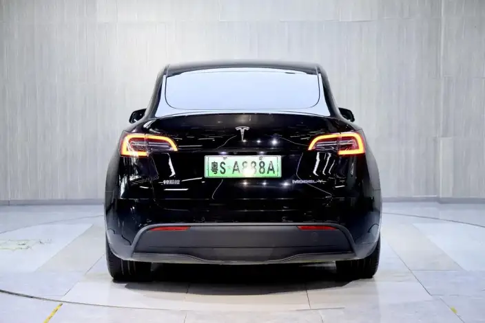 Model Y 2022 Model Rear-wheel drive version – фото 6