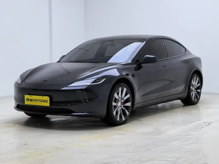 Model 3 2025 Model Facelift Long Battery Life Pro Rear-wheel drive version – фото 1