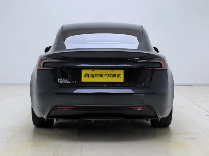 Model 3 2025 Model Facelift Long Battery Life Pro Rear-wheel drive version – фото 6