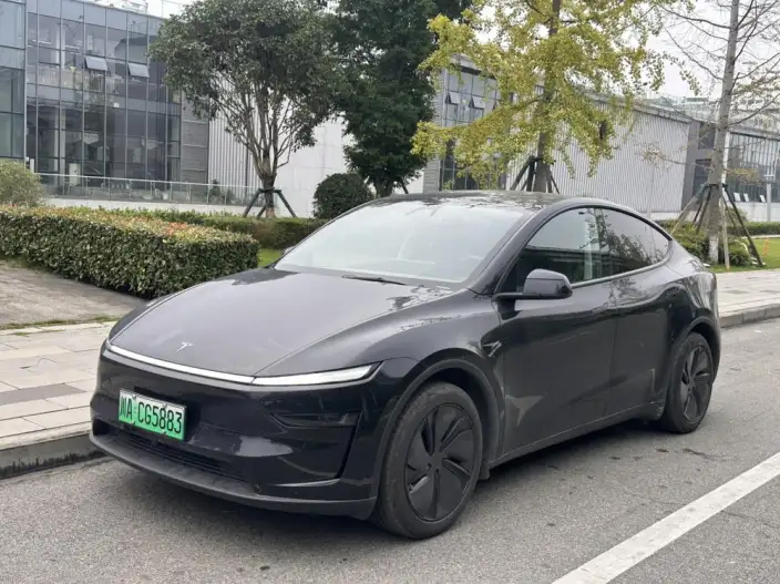 Model Y 2025 Model Rear-wheel drive version – фото 1