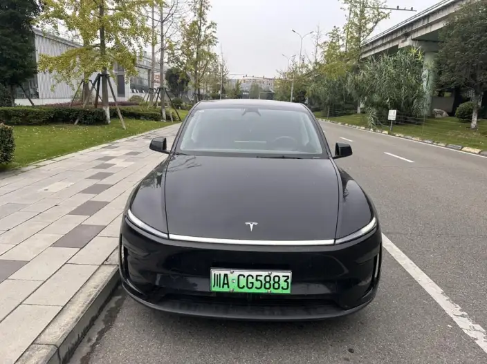 Model Y 2025 Model Rear-wheel drive version – фото 2