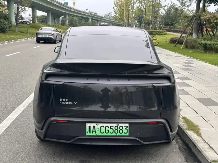 Model Y 2025 Model Rear-wheel drive version – фото 4