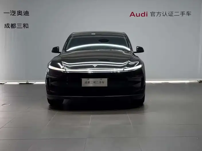 Model Y 2025 Model Rear-wheel drive version – фото 2