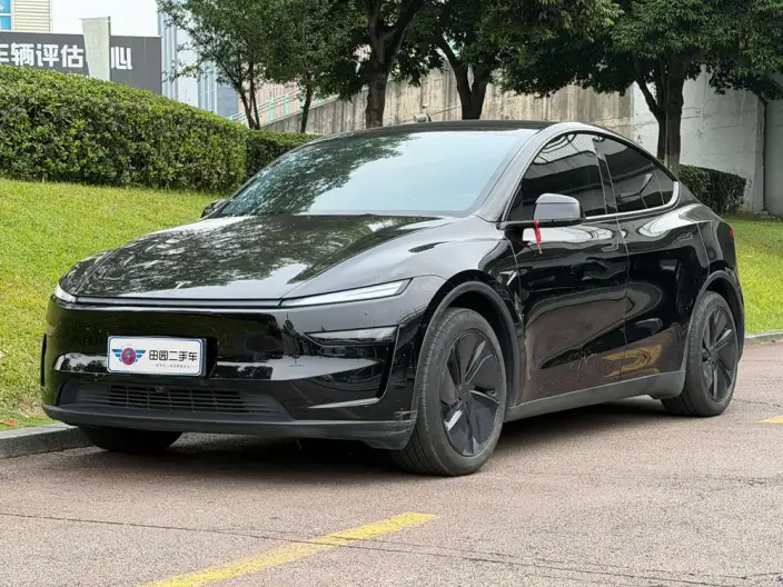 Model Y 2025 Model Rear-wheel drive version – фото 1