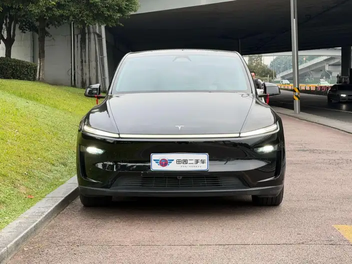 Model Y 2025 Model Rear-wheel drive version – фото 2