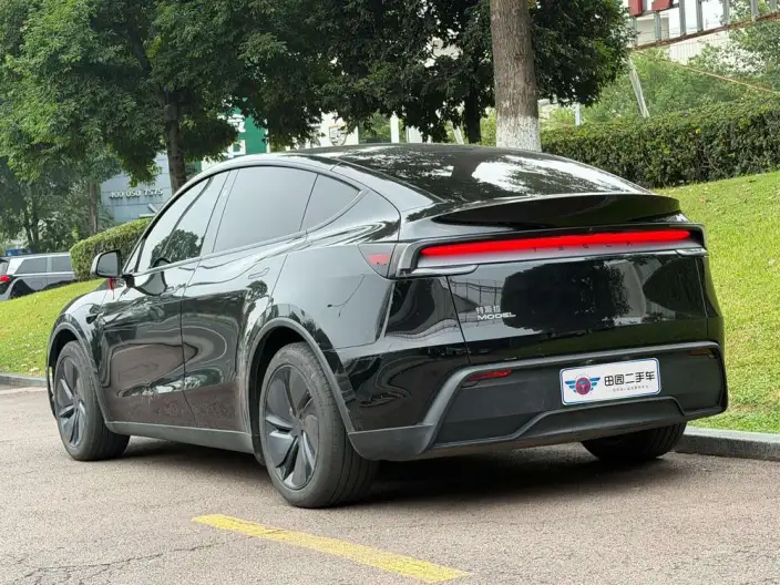 Model Y 2025 Model Rear-wheel drive version – фото 4