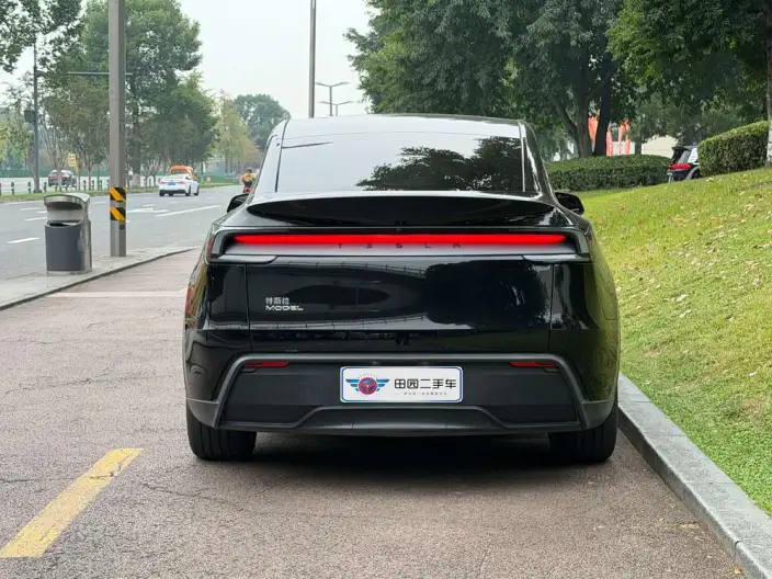 Model Y 2025 Model Rear-wheel drive version – фото 5