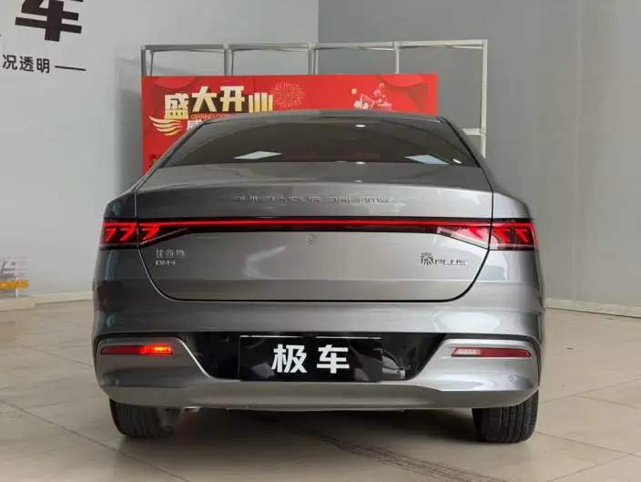 BYD Qin PLUS DM 2021 Model DM-i 120KM Noble Model – фото 4