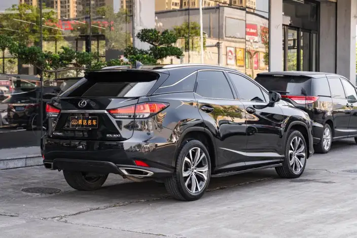 Lexus RX 2021 Model 300 4WD Special Edition – фото 5