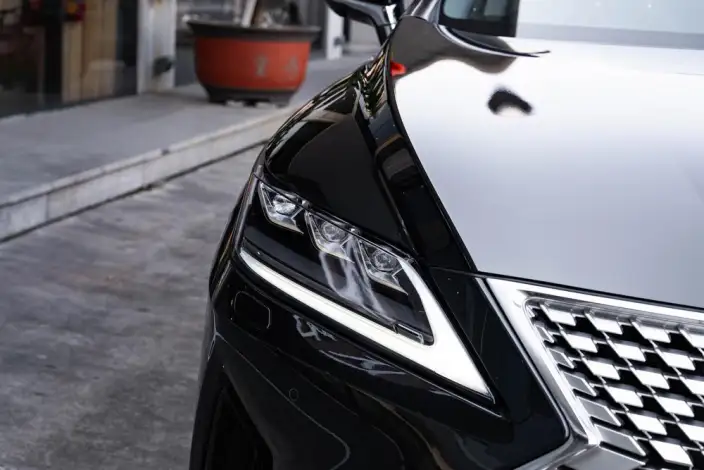Lexus RX 2021 Model 300 4WD Special Edition – фото 6
