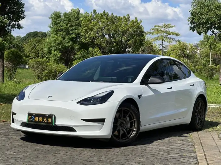 Model 3 2022 Model Rear-wheel drive version – фото 1