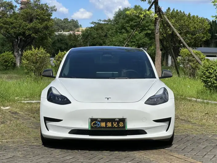 Model 3 2022 Model Rear-wheel drive version – фото 2