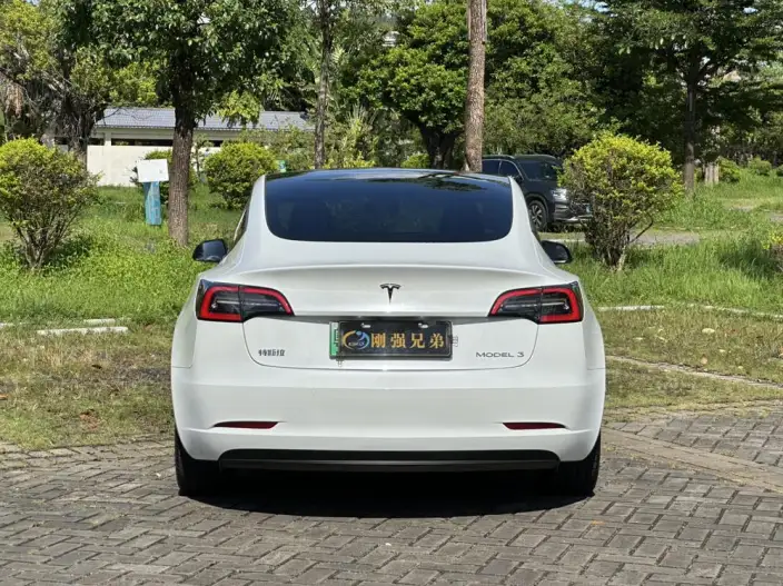Model 3 2022 Model Rear-wheel drive version – фото 6