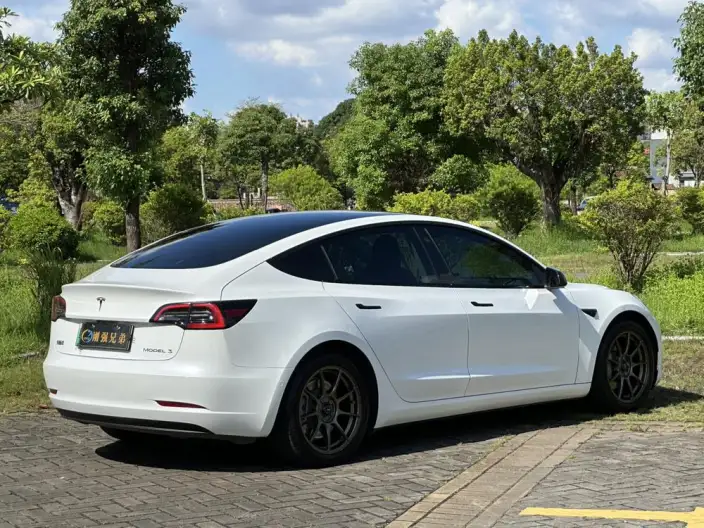 Model 3 2022 Model Rear-wheel drive version – фото 7