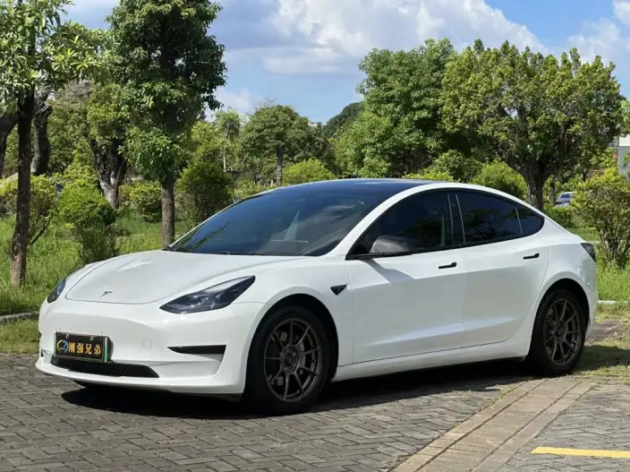 Model 3 2022 Model Rear-wheel drive version – фото 8