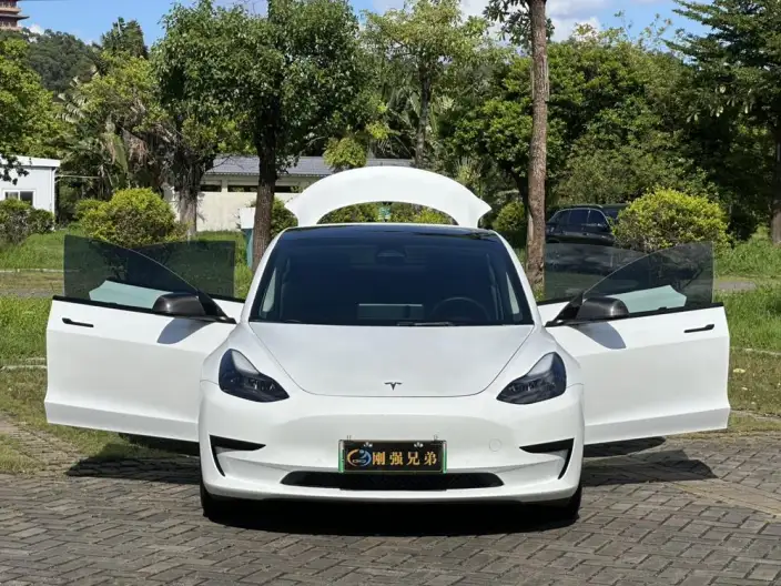 Model 3 2022 Model Rear-wheel drive version – фото 10