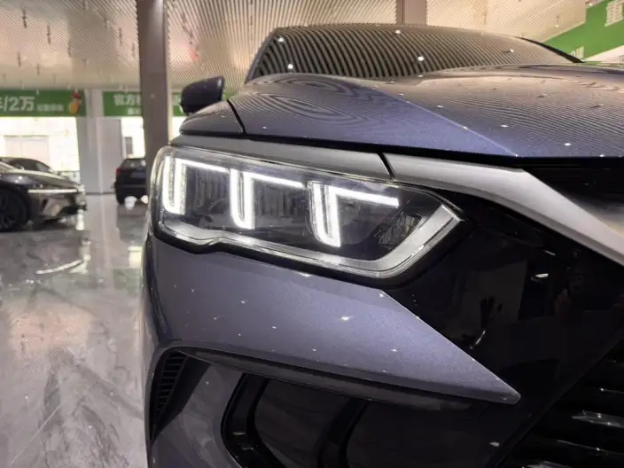 BYD Song Pro DM 2023 Model DM-i Champion Edition 71km Pilot Model – фото 9